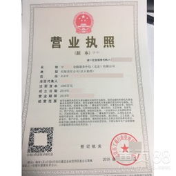 北京金融外包服務(wù) 專業(yè)化驅(qū)動(dòng)下的行業(yè)變革與機(jī)遇